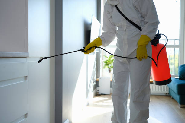 Best Office Mold Removal Services  in Urbana, MD